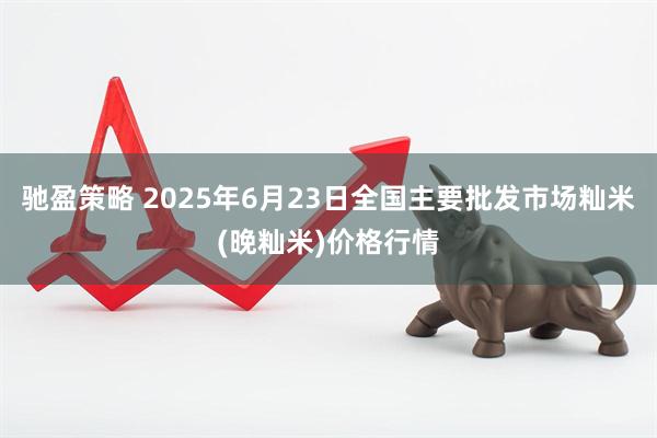 驰盈策略 2025年6月23日全国主要批发市场籼米(晚籼米)价格行情