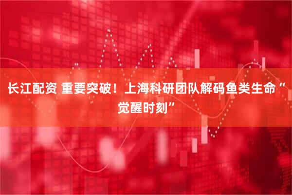 长江配资 重要突破！上海科研团队解码鱼类生命“觉醒时刻”