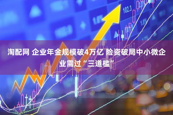 淘配网 企业年金规模破4万亿 险资破局中小微企业需过“三道槛”